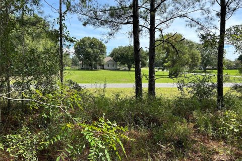 Terreno en venta en Lake City, Florida № 1278863 - foto 9