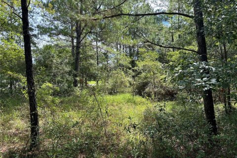 Land in Lake City, Florida № 1278863 - photo 10