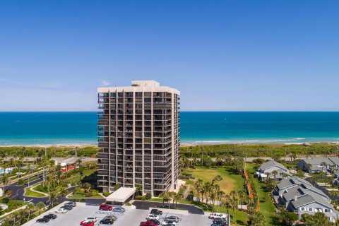 Copropriété à vendre à Hutchinson Island South, Floride: 2 chambres, 132.11 m2 № 1159804 - photo 9