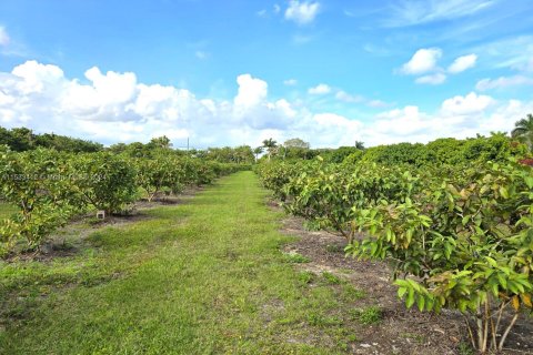 Terreno en venta en Miami, Florida № 1160552 - foto 3