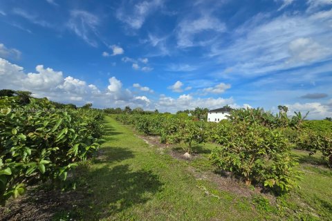 Land in Miami, Florida № 1160552 - photo 2