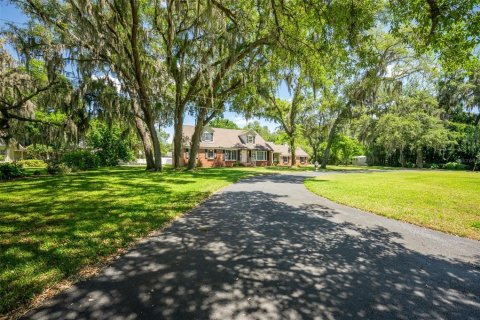 Villa ou maison à vendre à Brandon, Floride: 5 chambres, 379.04 m2 № 1148921 - photo 3