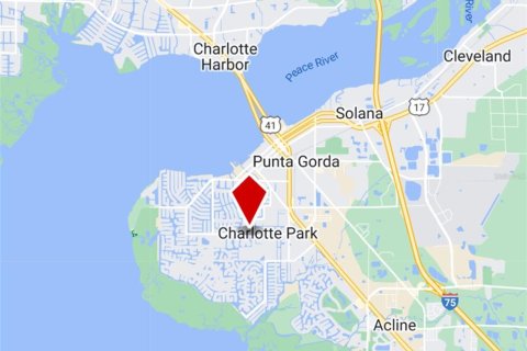 Land in Punta Gorda, Florida № 1400619 - photo 14