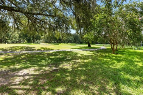 Terreno en venta en Lady Lake, Florida № 1296008 - foto 3