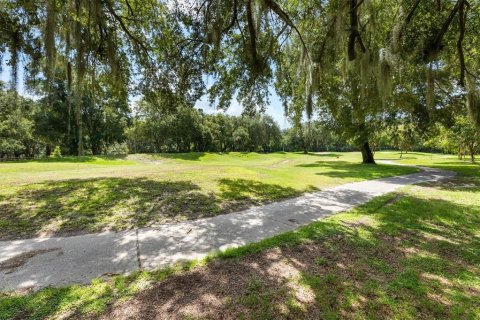 Terreno en venta en Lady Lake, Florida № 1296008 - foto 4