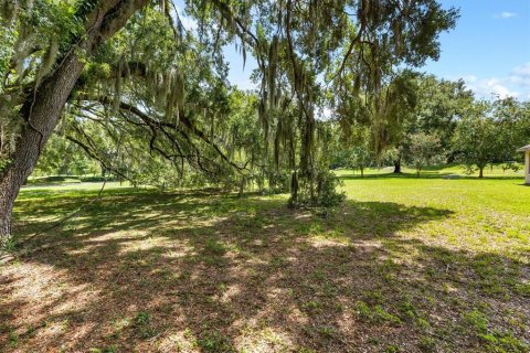 Terreno en venta en Lady Lake, Florida № 1296008 - foto 10