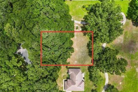 Terreno en venta en Lady Lake, Florida № 1296008 - foto 6