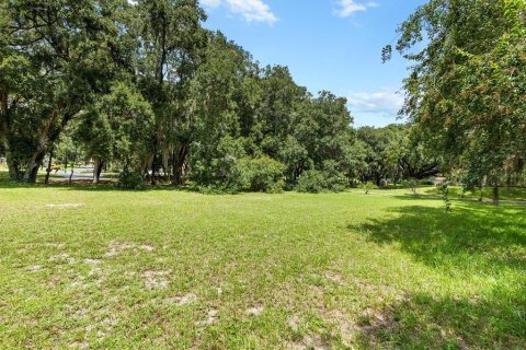 Terreno en venta en Lady Lake, Florida № 1296008 - foto 1