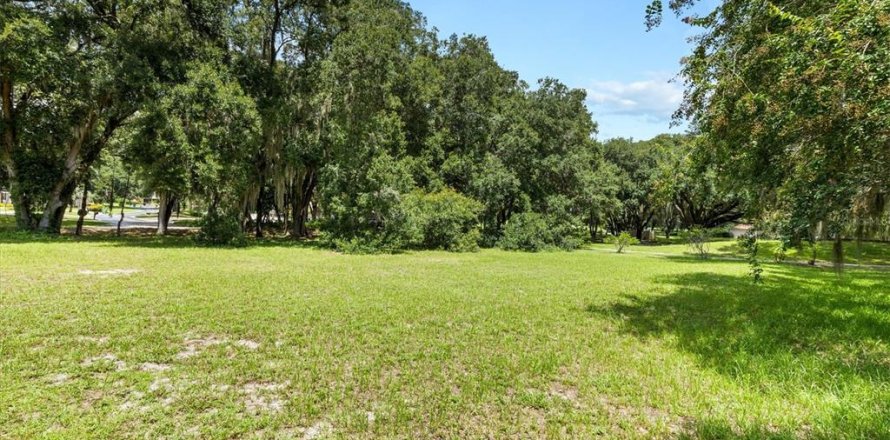 Land in Lady Lake, Florida № 1296008