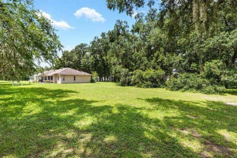 Terreno en venta en Lady Lake, Florida № 1296008 - foto 11