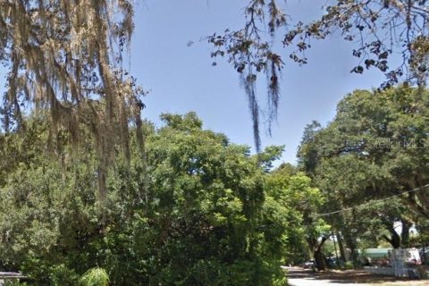 Land in Leesburg, Florida № 1383258 - photo 2