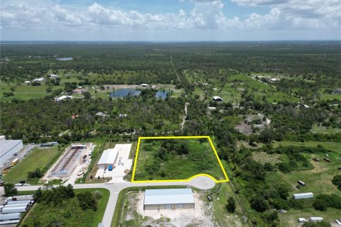 Terreno en venta en Englewood, Florida № 1312916 - foto 2