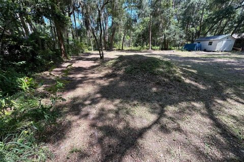 Terreno en venta en Clermont, Florida № 1325151 - foto 9