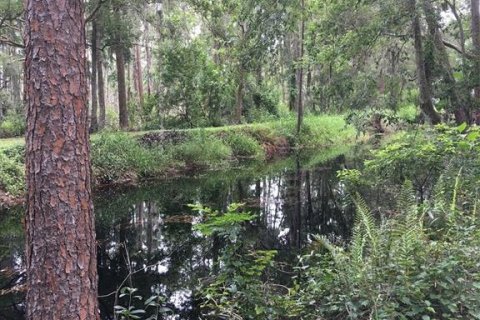 Land in Clermont, Florida № 1325151 - photo 12