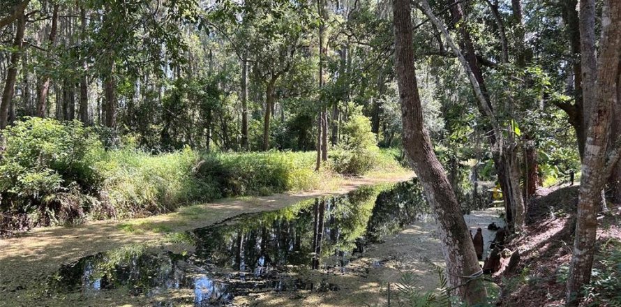 Terreno en Clermont, Florida № 1325151