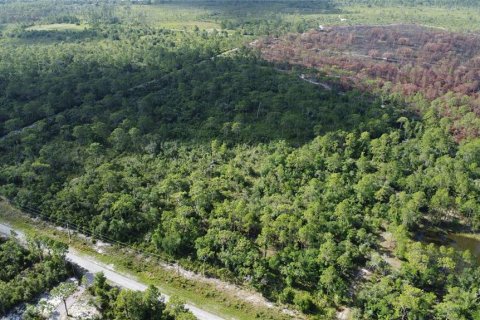 Land in Lake Wales, Florida № 1264880 - photo 3