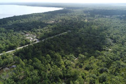 Land in Lake Wales, Florida № 1264880 - photo 4