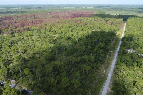 Land in Lake Wales, Florida № 1264880 - photo 1