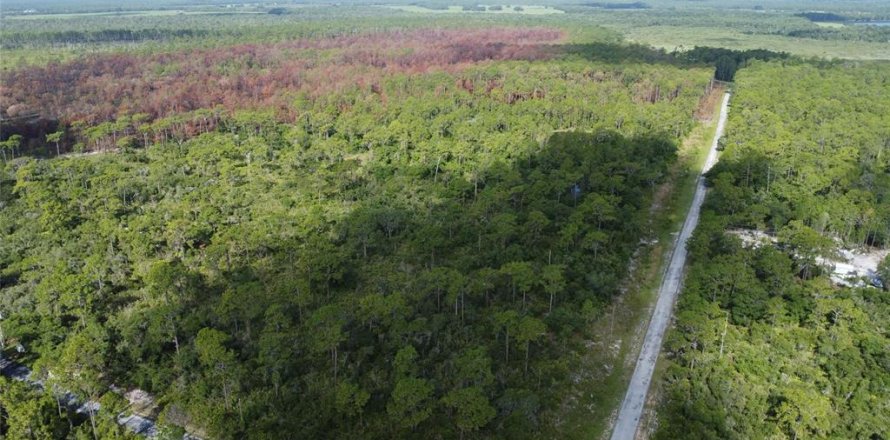 Terreno en Lake Wales, Florida № 1264880