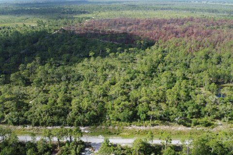 Land in Lake Wales, Florida № 1264880 - photo 2