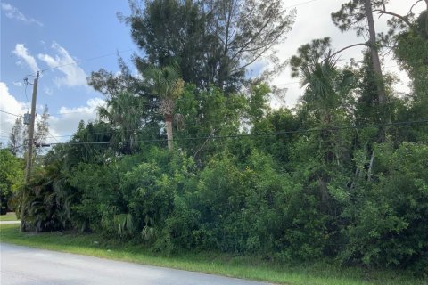 Купить земельный участок в Сент-Луси, Флорида № 664290 - фото 2