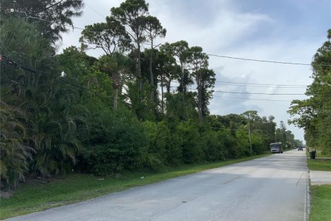 Купить земельный участок в Сент-Луси, Флорида № 664290 - фото 7