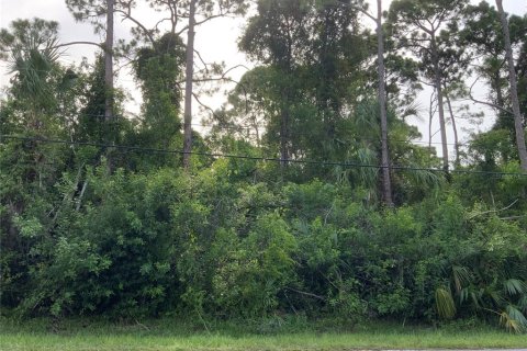 Купить земельный участок в Сент-Луси, Флорида № 664290 - фото 4