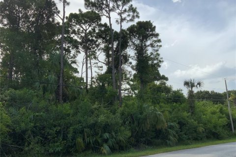 Купить земельный участок в Сент-Луси, Флорида № 664290 - фото 5