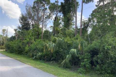 Купить земельный участок в Сент-Луси, Флорида № 664290 - фото 3