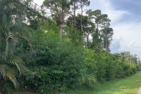 Купить земельный участок в Сент-Луси, Флорида № 664290 - фото 6