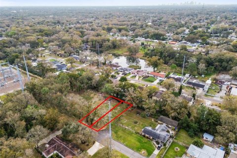 Casa en venta en Tampa, Florida, 4 dormitorios, 241.55 m2 № 1298904 - foto 3