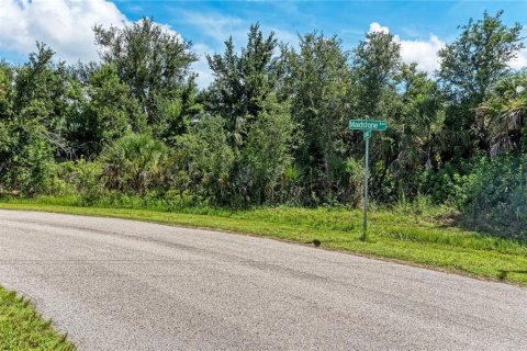 Land in Port Charlotte, Florida № 1318554 - photo 11