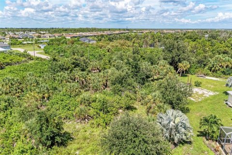 Land in Port Charlotte, Florida № 1318554 - photo 9