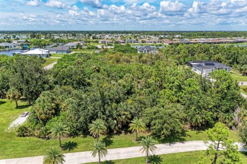 Terreno en venta en Port Charlotte, Florida № 1318555 - foto 6