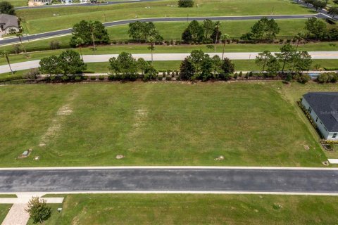 Terrain à vendre à Auburndale, Floride № 1318363 - photo 4