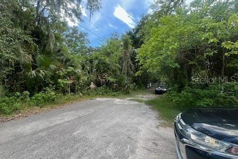 Terreno en venta en Wildwood, Florida № 1314207 - foto 1