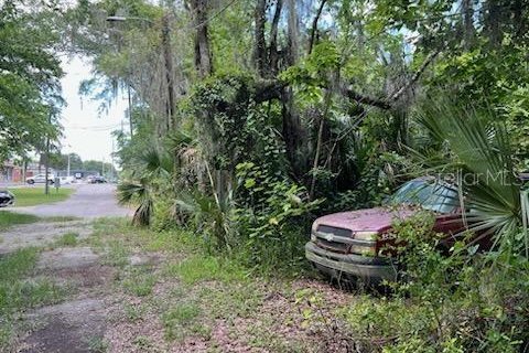 Land in Wildwood, Florida № 1314207 - photo 2