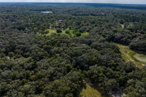 Terreno en venta en Hudson, Florida № 1381396 - foto 14