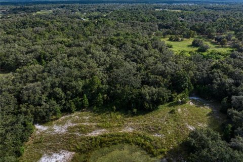 Terrain à vendre à Hudson, Floride № 1381396 - photo 12