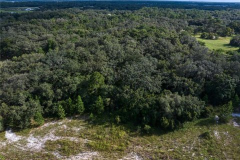 Land in Hudson, Florida № 1381396 - photo 17