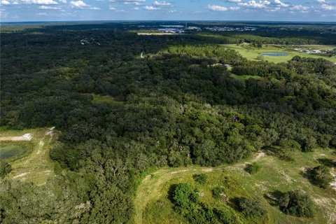 Land in Hudson, Florida № 1381396 - photo 11