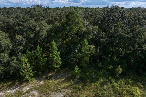 Terreno en venta en Hudson, Florida № 1381396 - foto 18