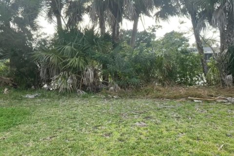 Terreno en venta en Hernando Beach, Florida № 1314050 - foto 1