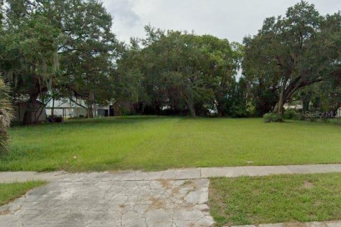 Land in Kissimmee, Florida № 1336357 - photo 3