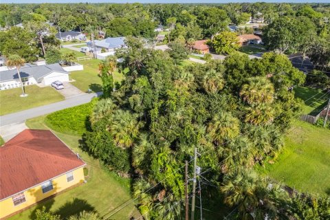 Terreno en venta en Edgewater, Florida № 1311990 - foto 7