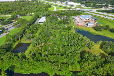 Land in Lakeland, Florida № 1300766 - photo 4