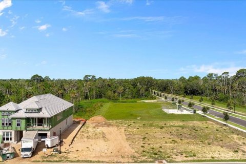 Land in Flagler Beach, Florida № 1312999 - photo 3