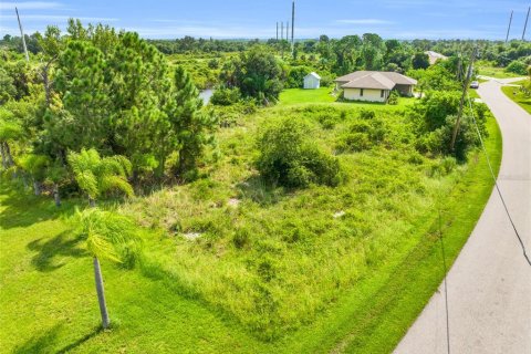 Land in Punta Gorda, Florida № 1371550 - photo 4